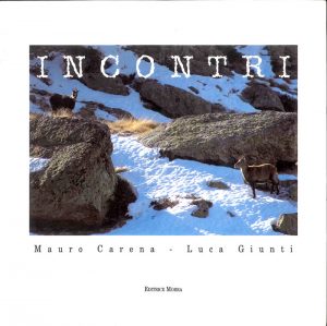 Incontri
